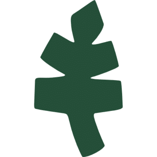 cropped Abnoba Systems Favicon